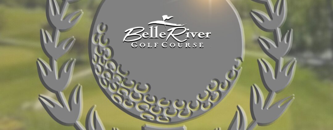 Silver award emblem with laurel wreath on a blurred outdoor background.