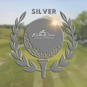 Silver award emblem with laurel wreath on a blurred outdoor background.