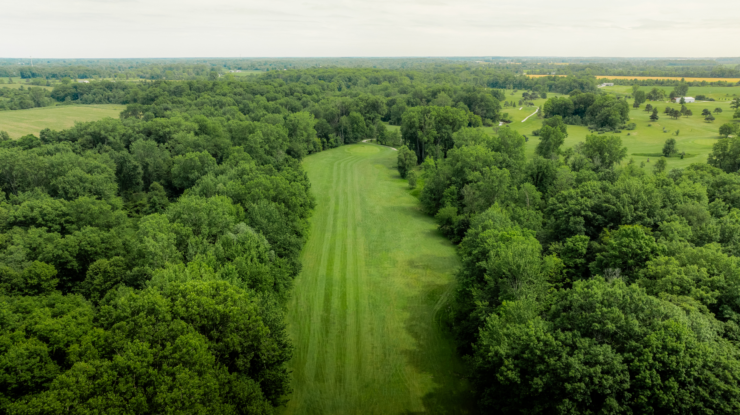 DJI_0618