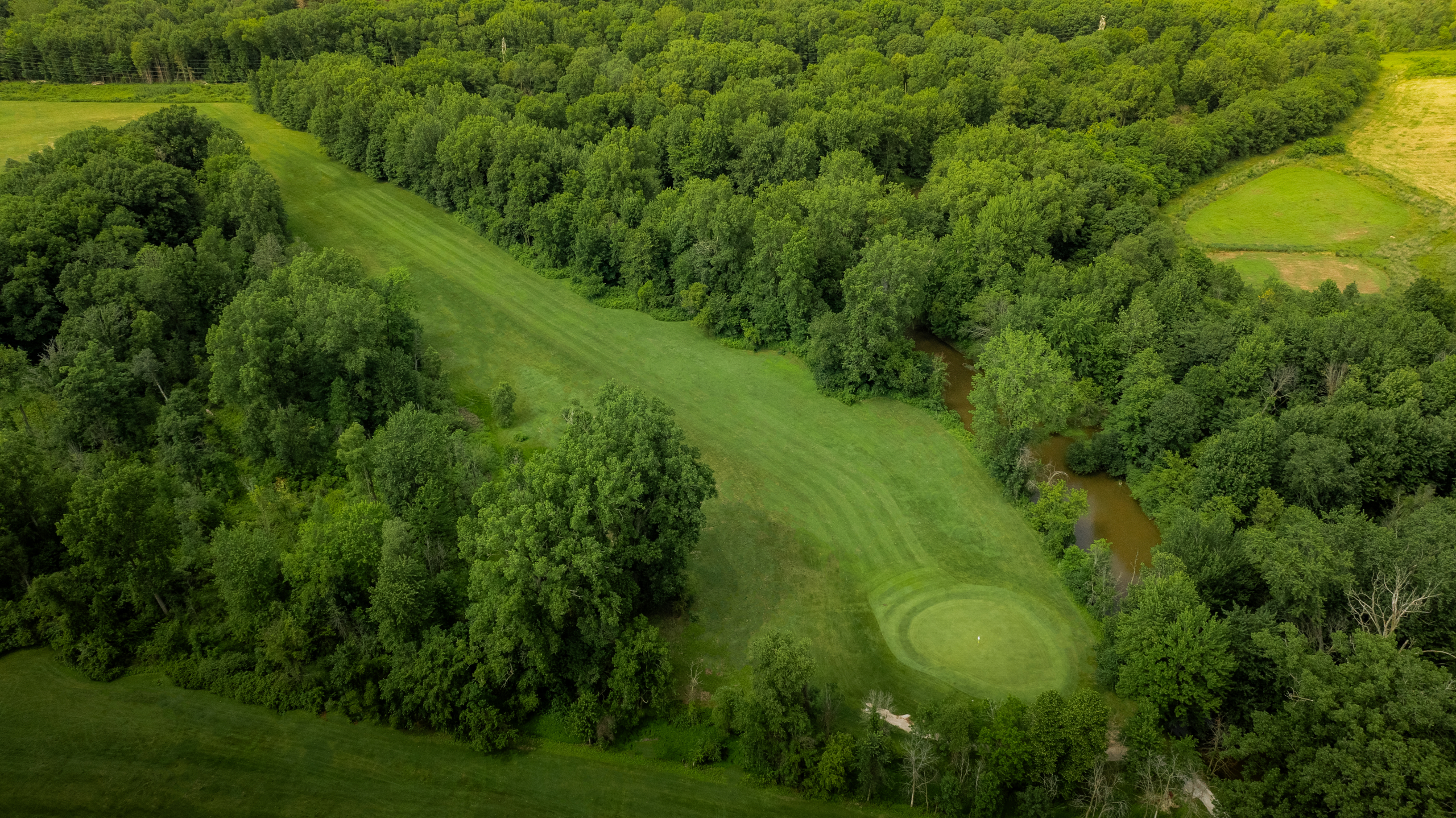 DJI_0646